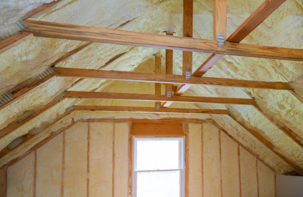 Best DIY Insulation Kits and Guidance in Bayou Vista, TX