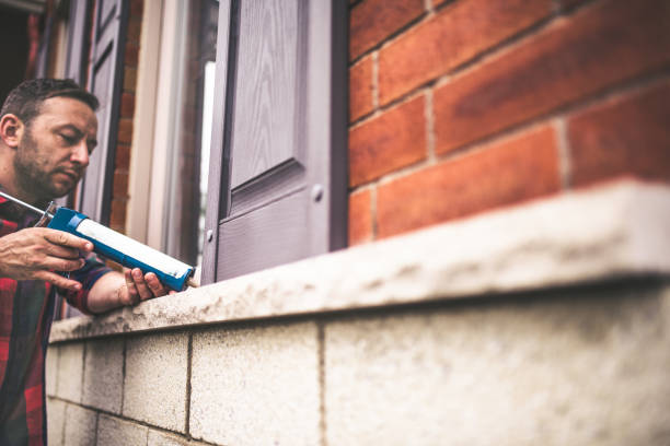 Best Insulation Maintenance and Repair in Bayou Vista, TX