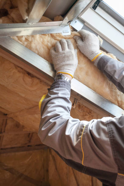 Best Residential Insulation in Bayou Vista, TX