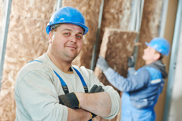 Professional Insulation Contractor in Bayou Vista, TX